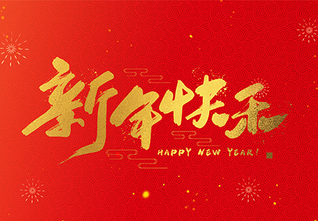 麗水市迪發(fā)軸承有限公司祝大家2025新年快樂!